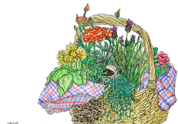 花バスケット 江戸 さんのイラスト ニコニコ静画 イラスト