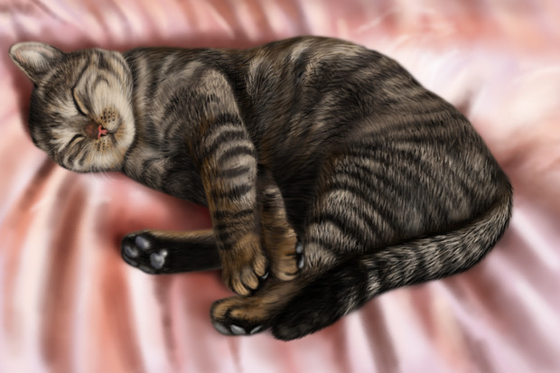きじ猫 カモンエギ さんのイラスト ニコニコ静画 イラスト