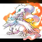 キーワードでイラスト検索 レシラム ニコニコ静画