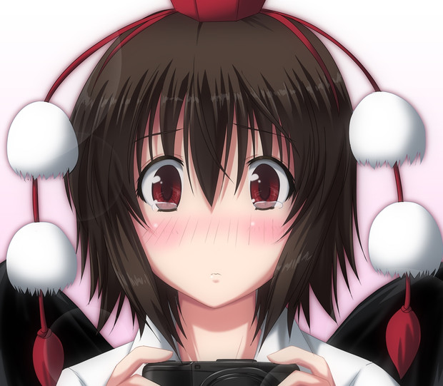 カメラが のりたまご 幽々子様がお好き さんのイラスト ニコニコ静画 イラスト