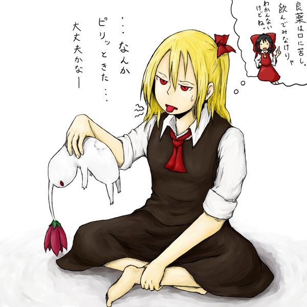 ルーミアと白ピクミン バチ さんのイラスト ニコニコ静画 イラスト