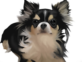 動物彩色模写その３ バジル さんのイラスト ニコニコ静画 イラスト