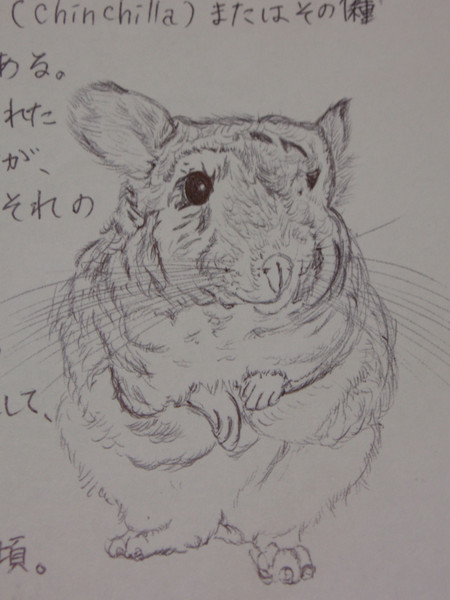 T様似顔絵オーダーチンチラ似顔絵 似顔絵のご紹介です😌🍀 ⁡ つぶらなおめめと👀💕 お花にそえられ