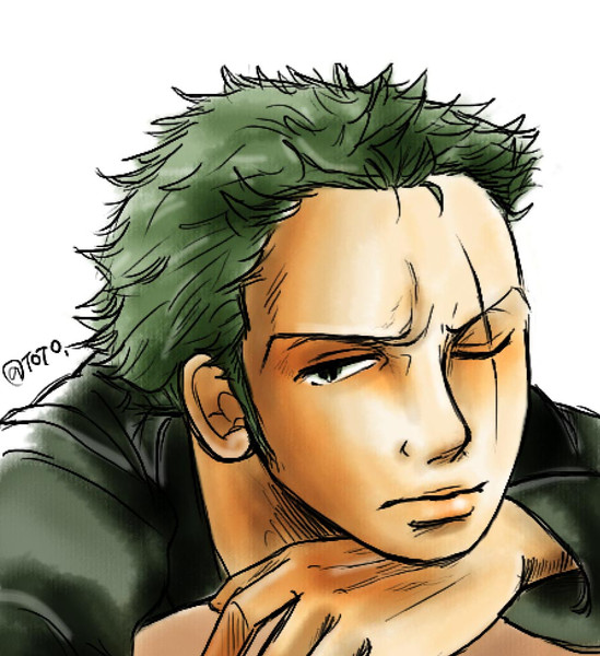 ロロノア ゾロ トト さんのイラスト ニコニコ静画 イラスト