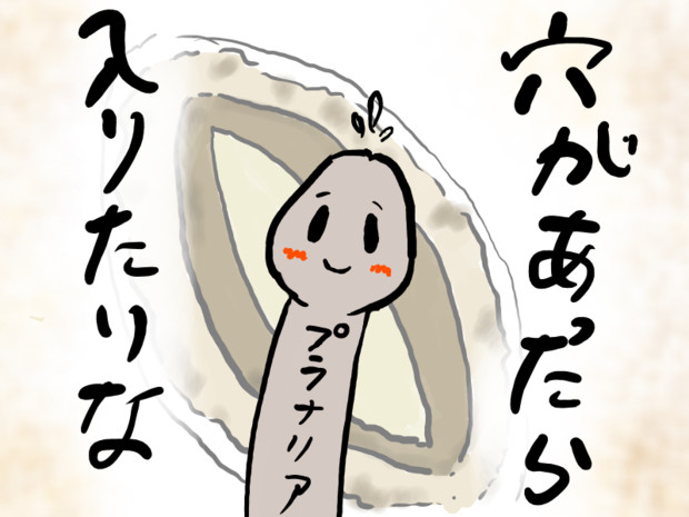 穴があったら入りたい ラクダイソギンチャク さんのイラスト ニコニコ静画 イラスト