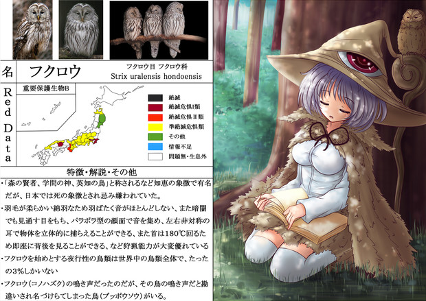 擬人化 フクロウ 絶滅危惧種 くろわな さんのイラスト ニコニコ静画 イラスト