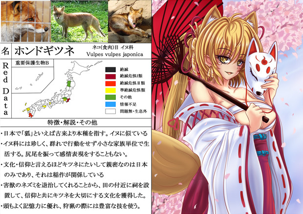 【擬人化】 キツネ 【絶滅危惧種】