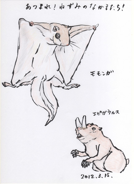 モモンガとエピガウルス びゑん さんのイラスト ニコニコ静画 イラスト