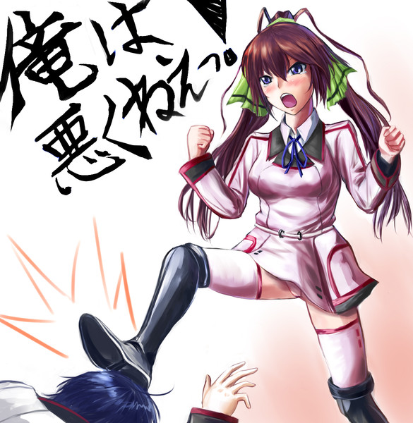 箒ちゃんの本音 ぬんたん さんのイラスト ニコニコ静画 イラスト