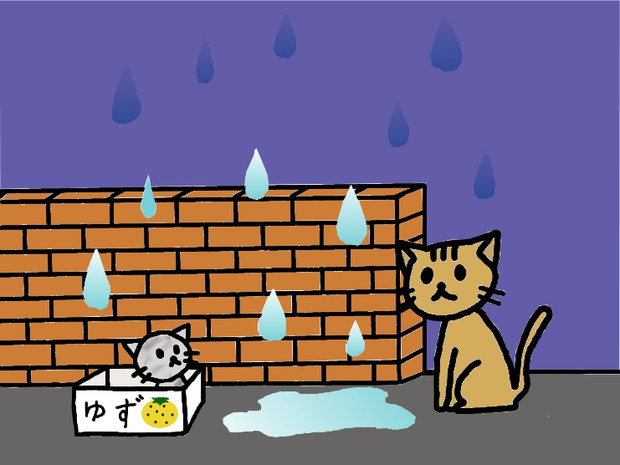 雨と猫