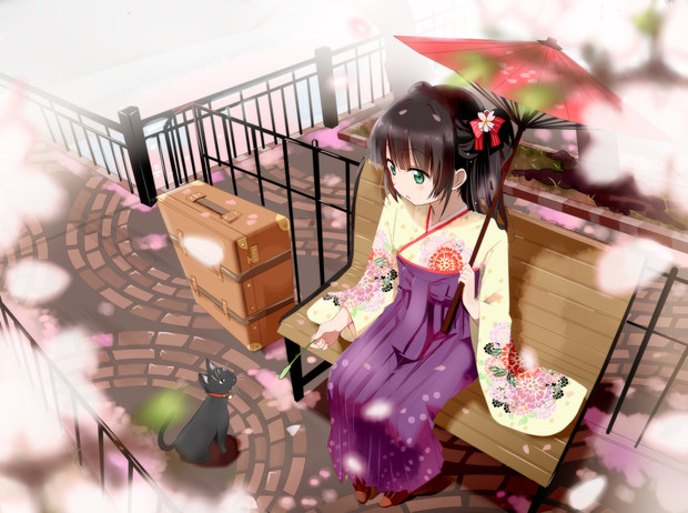 猫と桜と袴少女