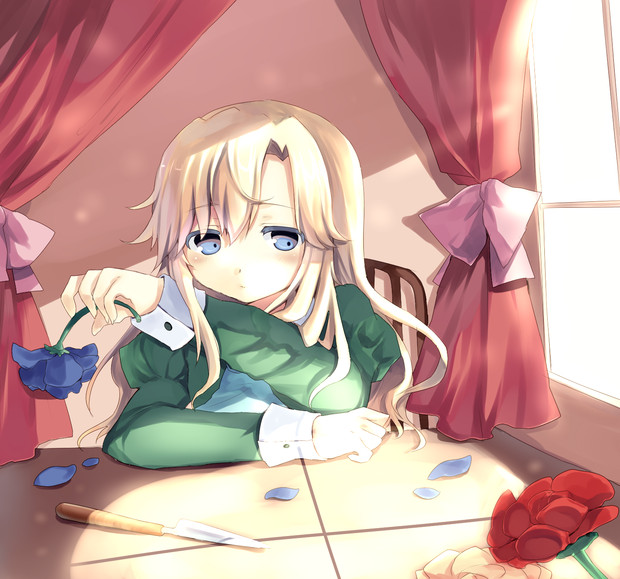 メアリーさん あてごや さんのイラスト ニコニコ静画 イラスト
