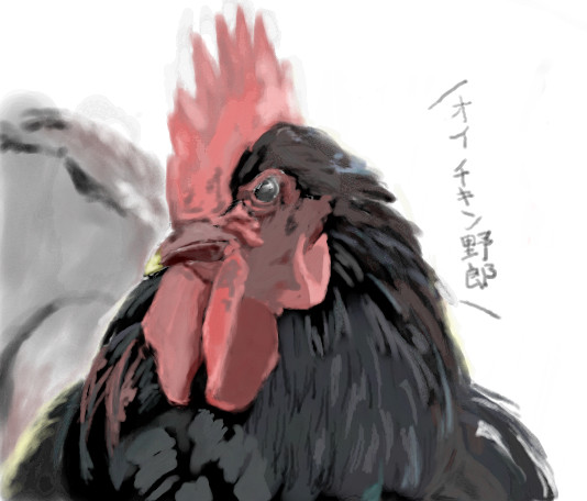50 グレアかっこいい リアル 鶏 イラスト