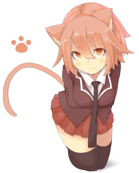 コンプリート 女の子 猫 女の子 猫 名前