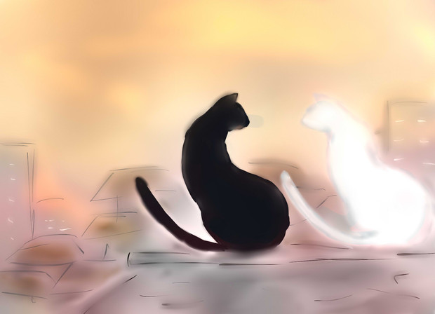 黒猫と白猫 夕暮れにて ゆーぎ さんのイラスト ニコニコ静画 イラスト