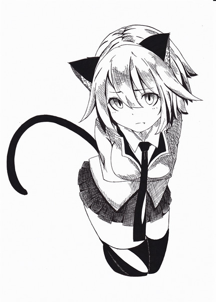 色彩センスに乏しいので ボールペンで白黒に塗らせていただきました はつおれ さんのイラスト ニコニコ静画 イラスト
