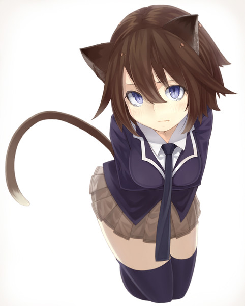 猫っ娘 塗らせていただきました