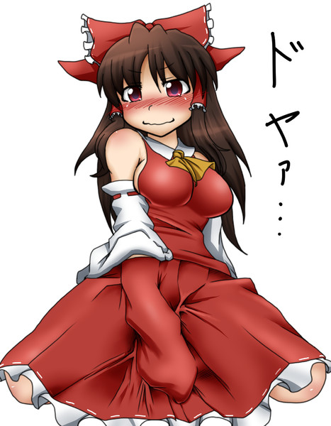 ふんわりパニエを霊夢さんに検証してもらった ワタリハジメ さんのイラスト ニコニコ静画 イラスト