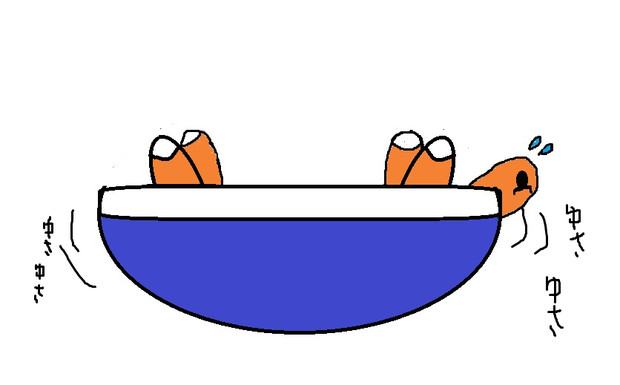 引っ繰り返ったメット