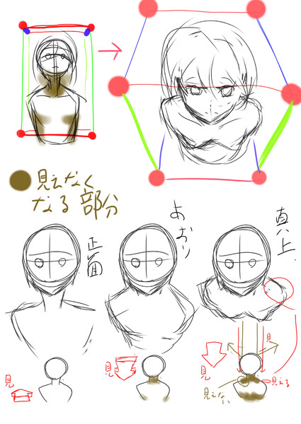 テリヤキの、ちょっと上から見たやつ