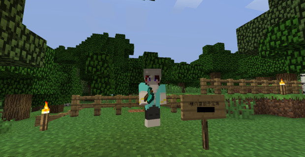 Minecraft 手掘りで100チャンク岩盤整地 しよん さんのイラスト ニコニコ静画 イラスト