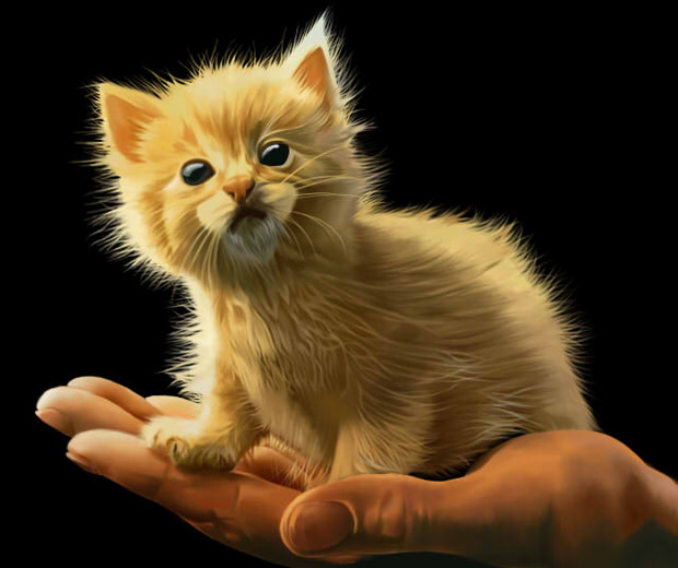 動物彩色模写その4 バジル さんのイラスト ニコニコ静画 イラスト