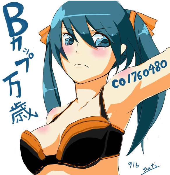 Bカップ万歳！ / さっつ さんのイラスト - ニコニコ静画 (イラスト)
