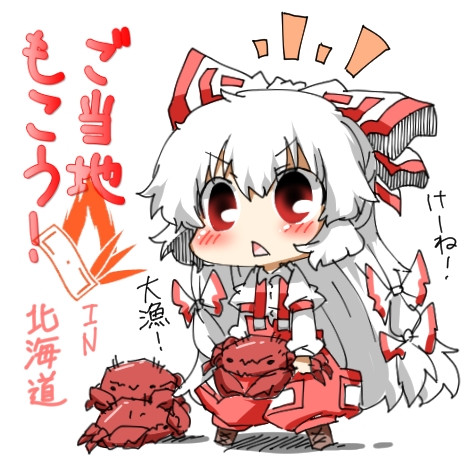 ご当地妹紅in北海道 ニコニコ静画 イラスト