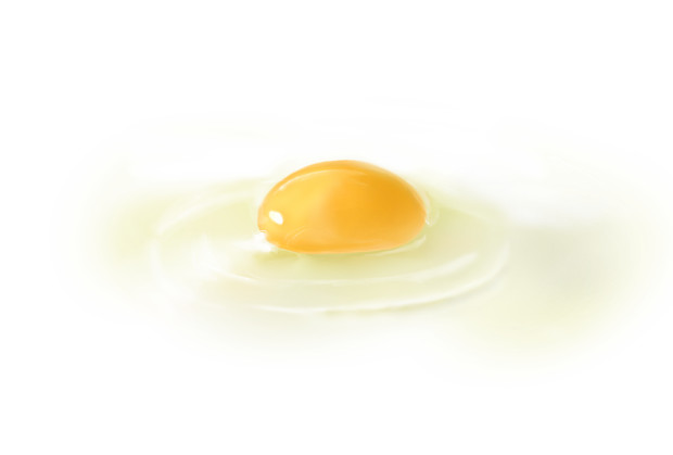 たまごかけごはんたべたい ぱれと さんのイラスト ニコニコ静画 イラスト