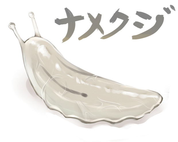 なめくじ ウォーズ魔 さんのイラスト ニコニコ静画 イラスト