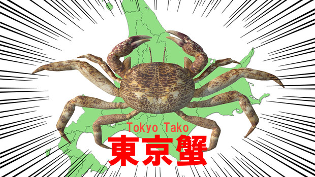 矛盾 画像 カニ 矛盾 画像 カニ Marcelinomonsenjp