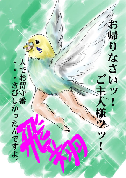 キモインコ 飛翔 ひろぴろ さんのイラスト ニコニコ静画 イラスト