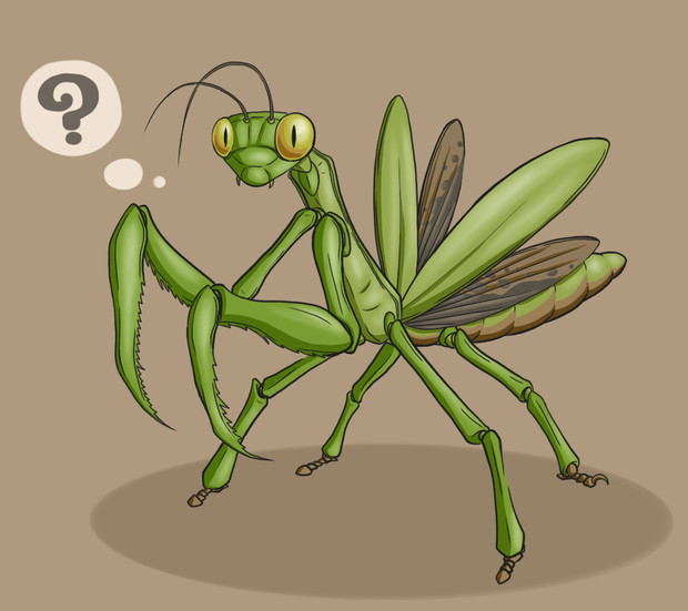 カマキリ ディーツ さんのイラスト ニコニコ静画 イラスト