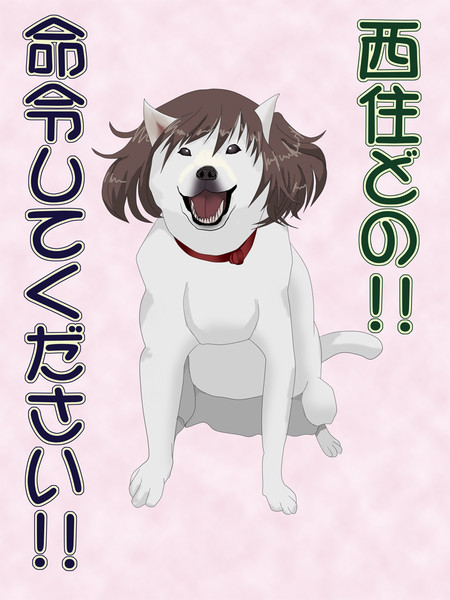 西住みほから見た秋山優花里 てらサンダー さんのイラスト ニコニコ静画 イラスト