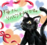 ノーゲーム ノーライフ4巻表紙 長彰 さんのイラスト ニコニコ静画 イラスト
