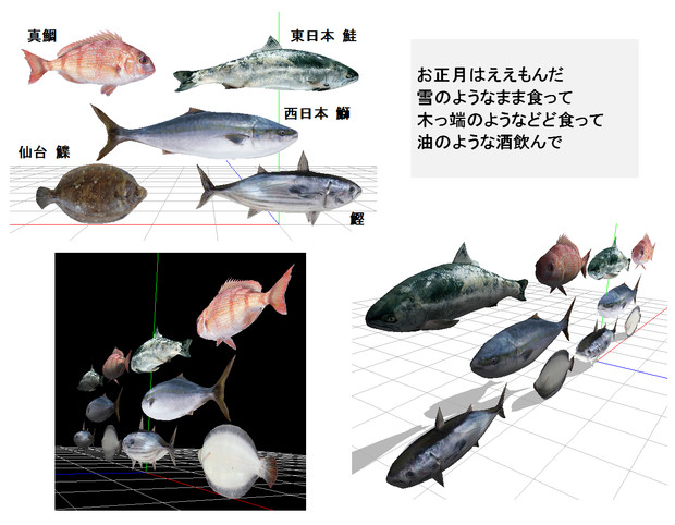 ｍｍｄ正月魚