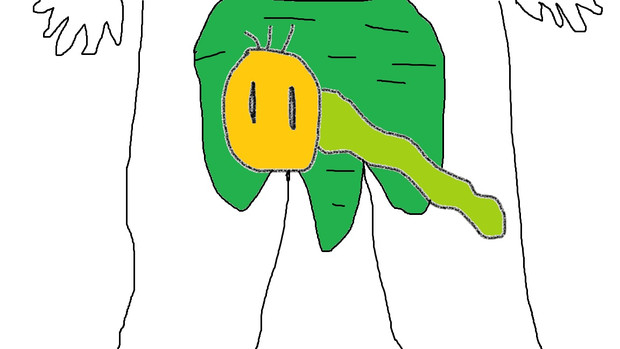 あえて肌色塗るの自重したけどニヤニヤしながら描いた違う意味でニョッキ ついん さんのイラスト ニコニコ静画 イラスト