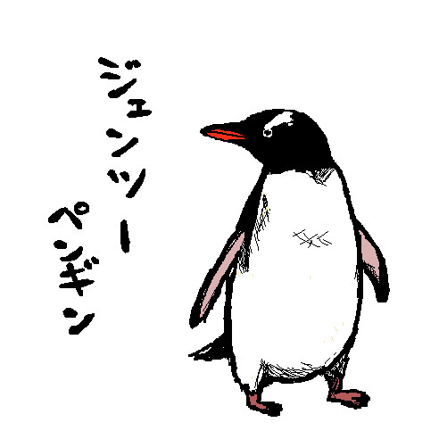 ジェンツーペンギン