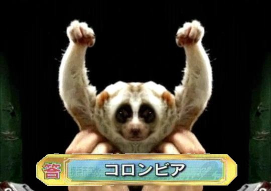 アタック25に完全勝利した淫夢くん.jpg