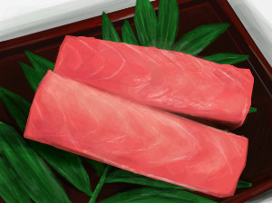 お絵カキコ マグロの刺身 そよき さんのイラスト ニコニコ静画 イラスト