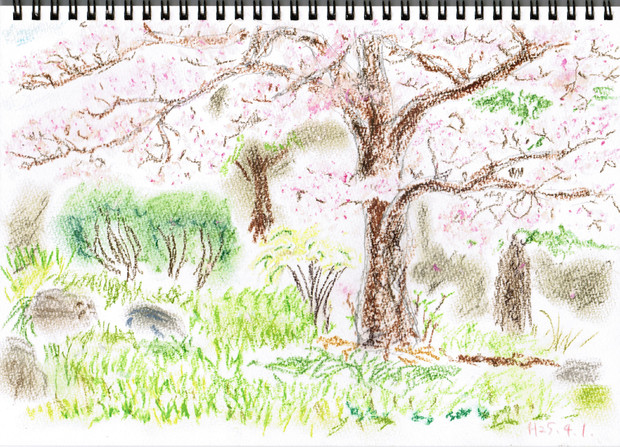 桜の庭 Baudroie さんのイラスト ニコニコ静画 イラスト