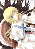 淡