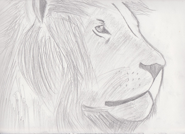 鉛筆でライオン トマトは逆から呼んでもトマト さんのイラスト ニコニコ静画 イラスト