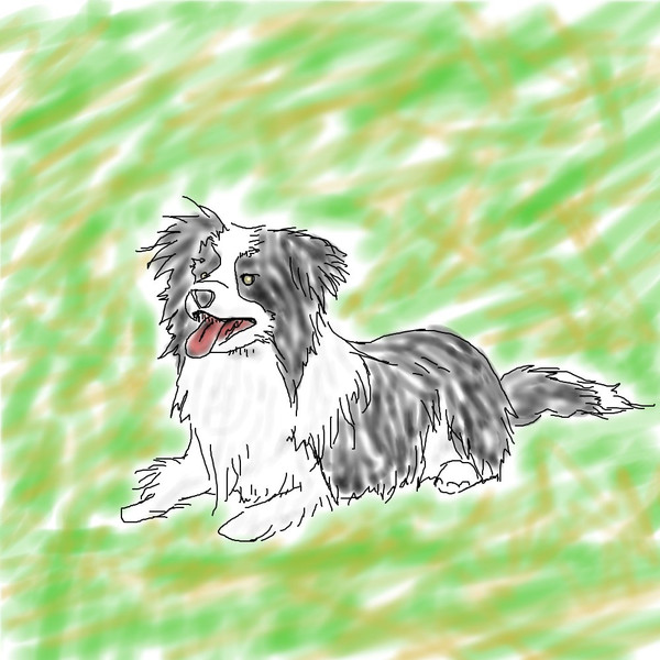 ボーダーコリー くらうん さんのイラスト ニコニコ静画 イラスト