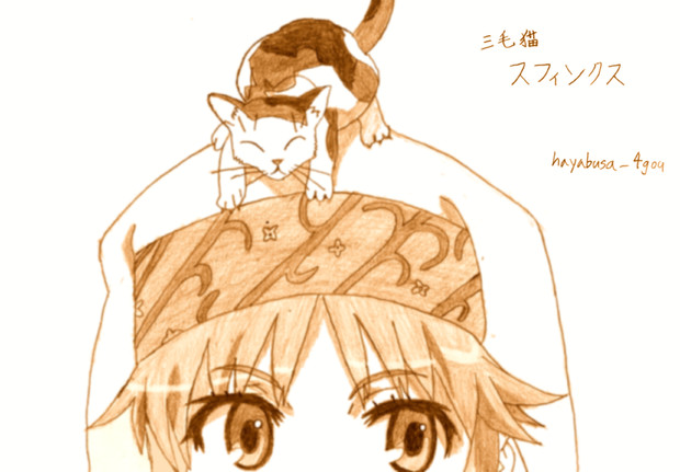 とある魔術の禁書目録 スフィンクス シャーペン 鉛筆画 Hayabusa 4gou さんのイラスト ニコニコ静画 イラスト
