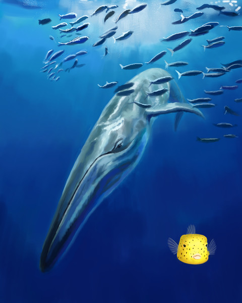 模写練習 クジラ ニコニコ静画 イラスト