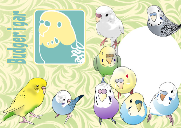 クリアファイル セキセイインコ かーちゃんorz さんのイラスト ニコニコ静画 イラスト