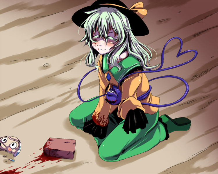 秦こころ Nicosub静画