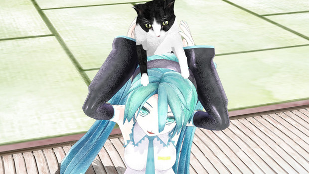 ねこ好きがやってみたいこと