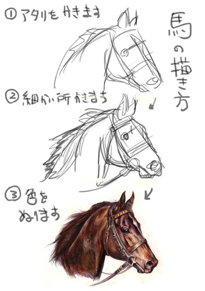 馬の描き方 七海ルシア さんのイラスト ニコニコ静画 イラスト
